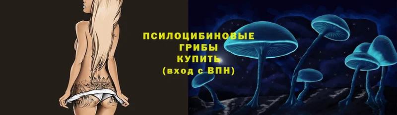 Псилоцибиновые грибы Magic Shrooms  Кувандык 